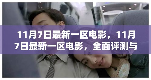 11月7日一区电影最新上映，全面评测与详细介绍
