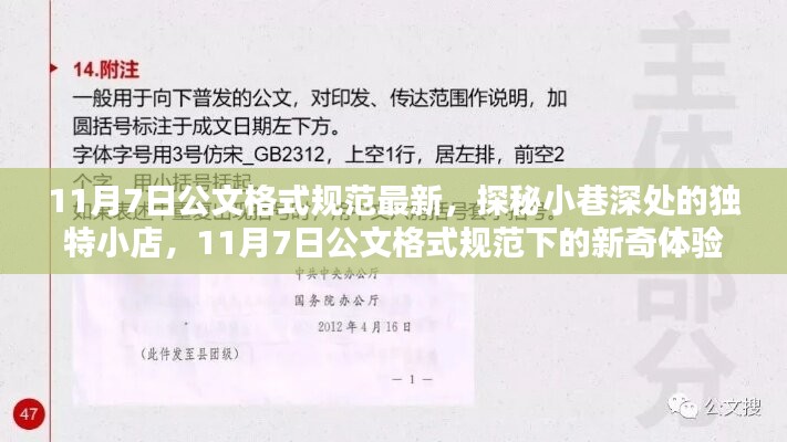 项目介绍 第574页