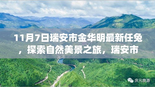 项目介绍 第571页