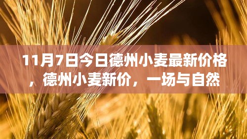 行业新闻 第560页