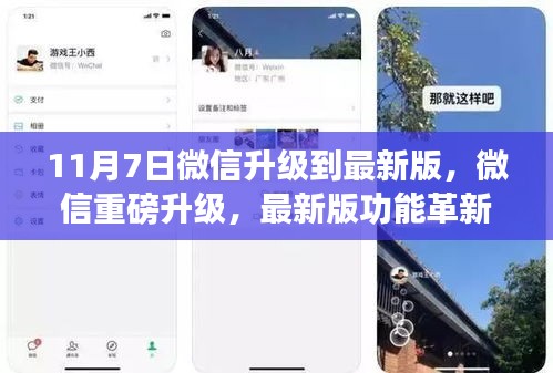 走马观花 第14页
