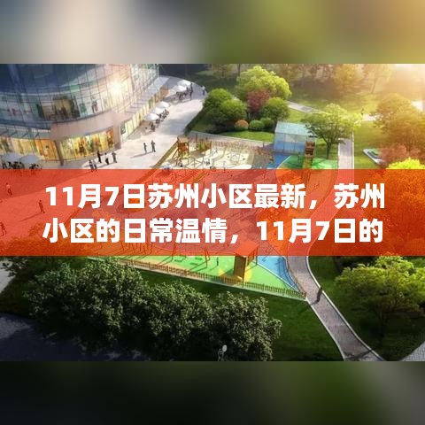 项目介绍 第565页