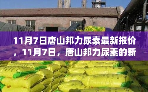 企业优势 第543页