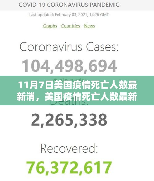 美国疫情死亡人数最新消息，聚焦11月7日的挑战与影响