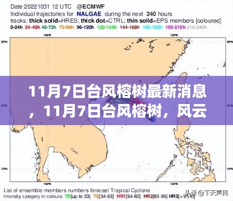 对答如流 第13页