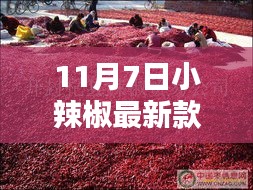 企业优势 第537页