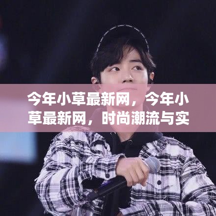 今年小草最新网，时尚潮流与实用功能的完美融合