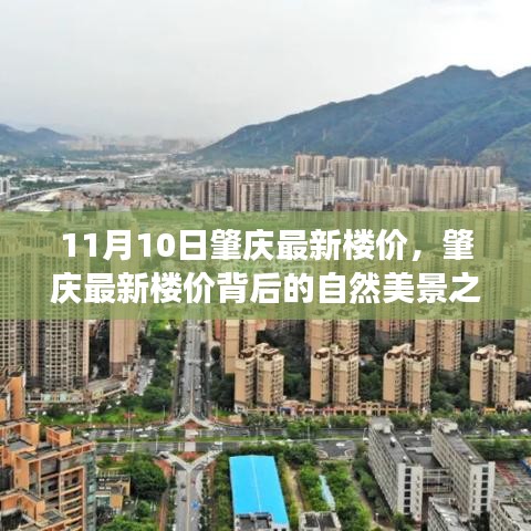 肇庆最新楼价背后的自然美景之旅，探寻心灵的宁静之地