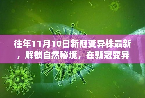 新冠变异株下的自然秘境与心灵之旅，历年11月10日最新观察