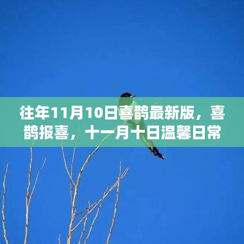 星星打烊 第9页