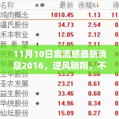 不惧禽流感阴霾，最新消息与新希望之光照亮前行之路（2016年11月）