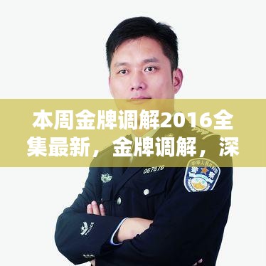 金牌调解深度解析，本周节目内容与影响回顾（最新全集）