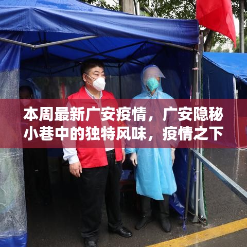 行业新闻 第512页