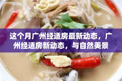 广州经适房新动态，与自然美景的邂逅与内心平和之旅