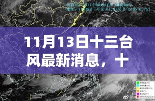 十一月十三日十三台风最新动态与深度解析，风暴再度来袭