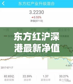 东方红沪深港最新净值查询指南（2024年11月14日）