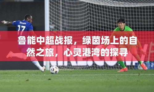 定谋贵决 第4页