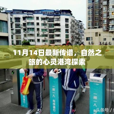 漫不经心 第4页