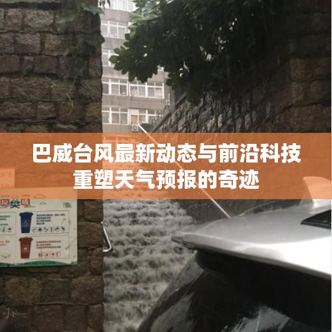 鸟为食亡 第4页
