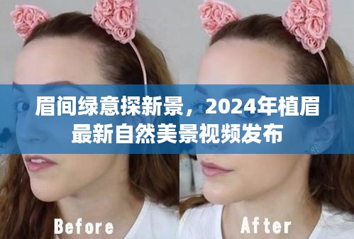 关于我们 第470页