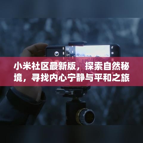 一石三鸟 第3页