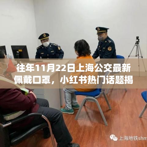 百鸟朝凤 第4页