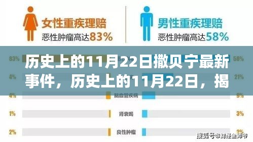 揭秘，历史上的11月22日撒贝宁最新事件揭秘与回顾