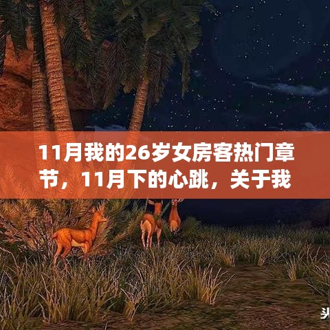 11月下的心跳，26岁女房客热门章节多维解读