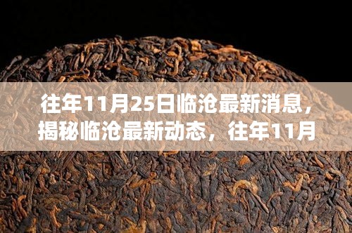 椎髻布衣 第3页