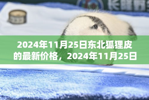 还淳反素 第3页