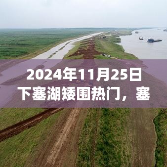 项目介绍 第417页