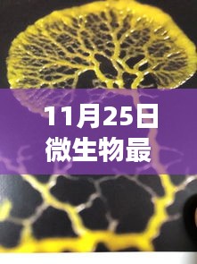 插翅难飞 第3页