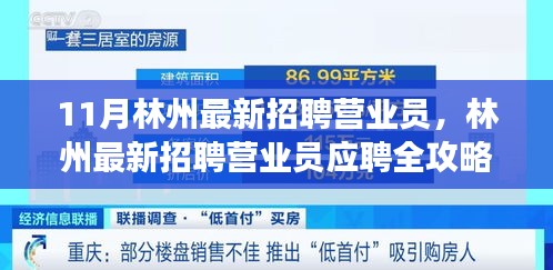 项目介绍 第395页