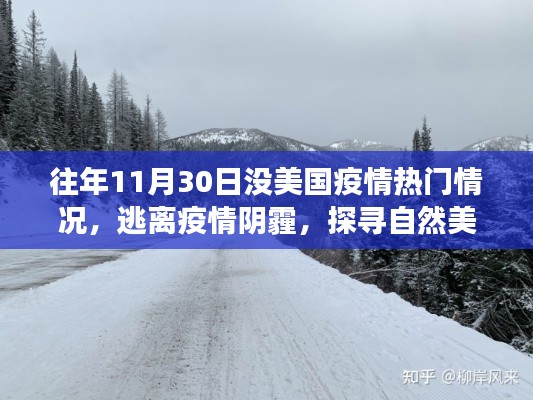 鸟声兽心 第2页