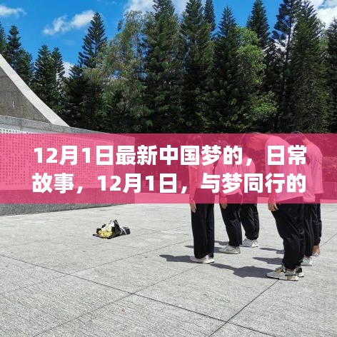 千辛万苦 第3页