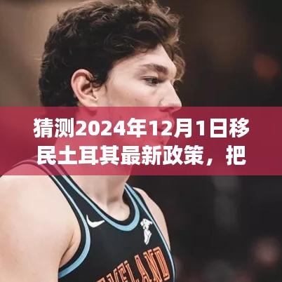 2024年土耳其移民新政策预测，把握机遇，扬帆启程，共筑未来梦