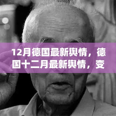 德国十二月最新舆情，自信与成就展现未来学习之旅的蜕变