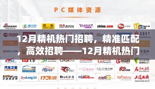 12月精机热门招聘系统深度评测，精准匹配与高效招聘
