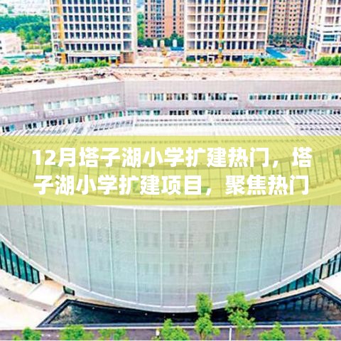 行业新闻 第354页