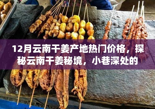 笨鸟先飞 第3页