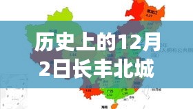 为民请命 第4页