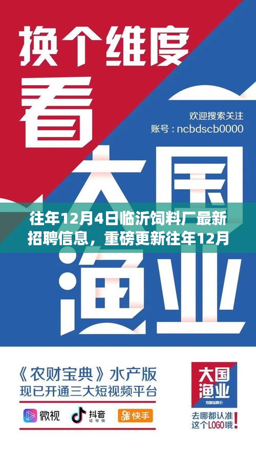 百鸟朝凤 第3页