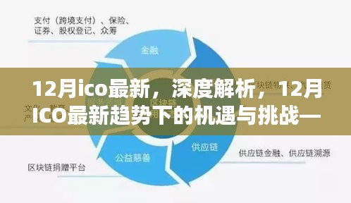 某某视角下的深度解析，12月ICO最新趋势的机遇与挑战