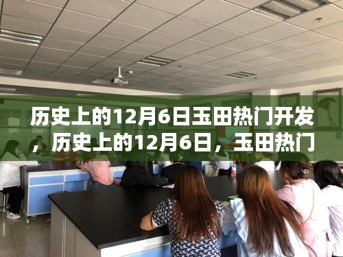 历史上的12月6日玉田开发热点深度解析与介绍