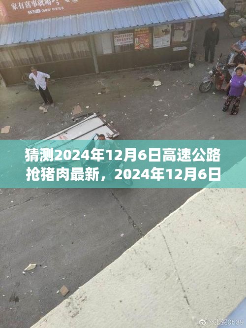 2024年12月6日高速公路抢猪肉事件，背景、发展、时代印记全解析