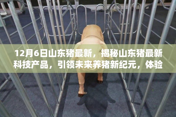 夫妻本是同林鸟 第3页
