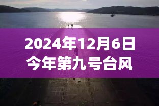 台风九号下的美食秘境，探寻巷弄深处的独特风味
