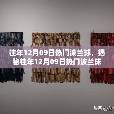 揭秘往年12月09日热门波兰球，运动魅力与战略深度解析