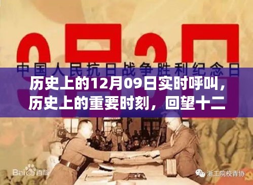 衣不兼采 第3页