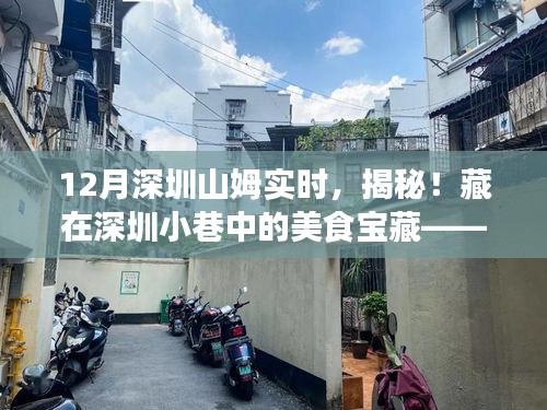 揭秘深圳山姆实时，小巷里的美食宝藏，体验十二月独特味蕾盛宴